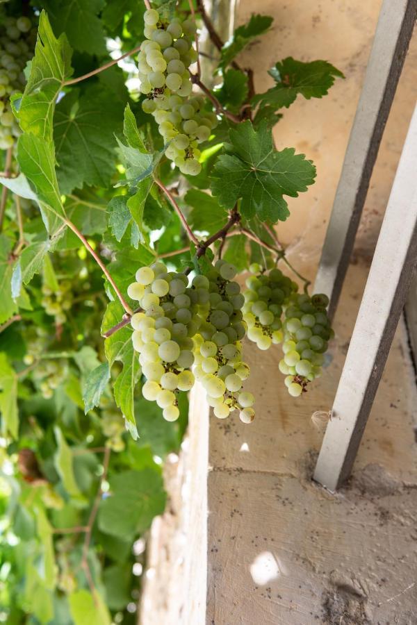 La Ferme De Planchevienne Bed & Breakfast Magny-Cours Luaran gambar